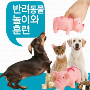 강아지가 좋아하는 돼지장난감 애견장난감 반려견