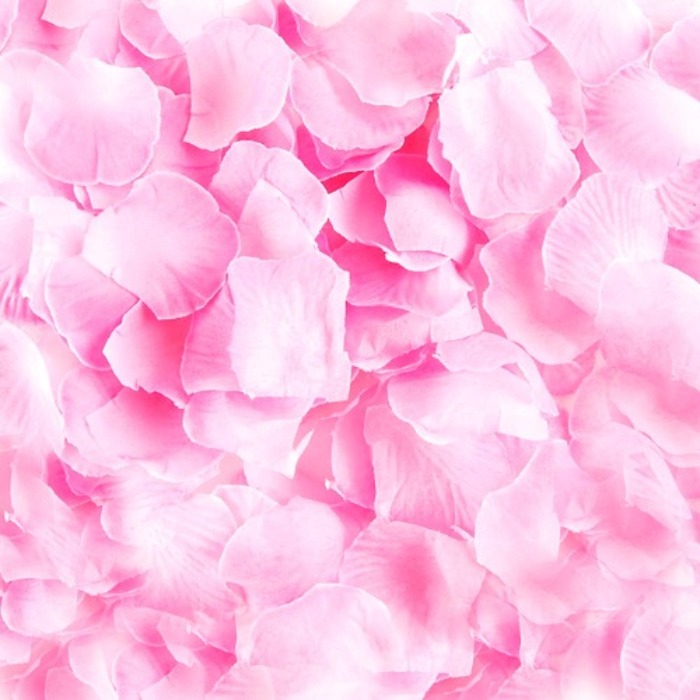 핑크꽃잎100p 꽃가루 프로포즈 청혼 웨딩 플라워샤워 브라이덜샤워 파티 이벤트 이벤트 100일