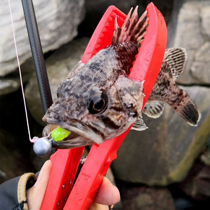 피싱그립 물고기집게 랜딩 바다 배스 생선 립그립 한치 오징어 갈치 포셉